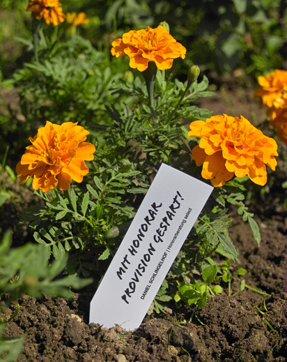 corporate flower | daniel schlingelhof corporate flower | daniel schlingelhof