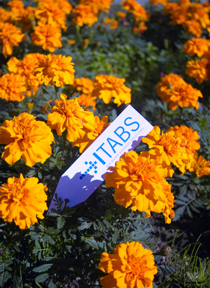corporate flower | itabs corporate flower | itabs